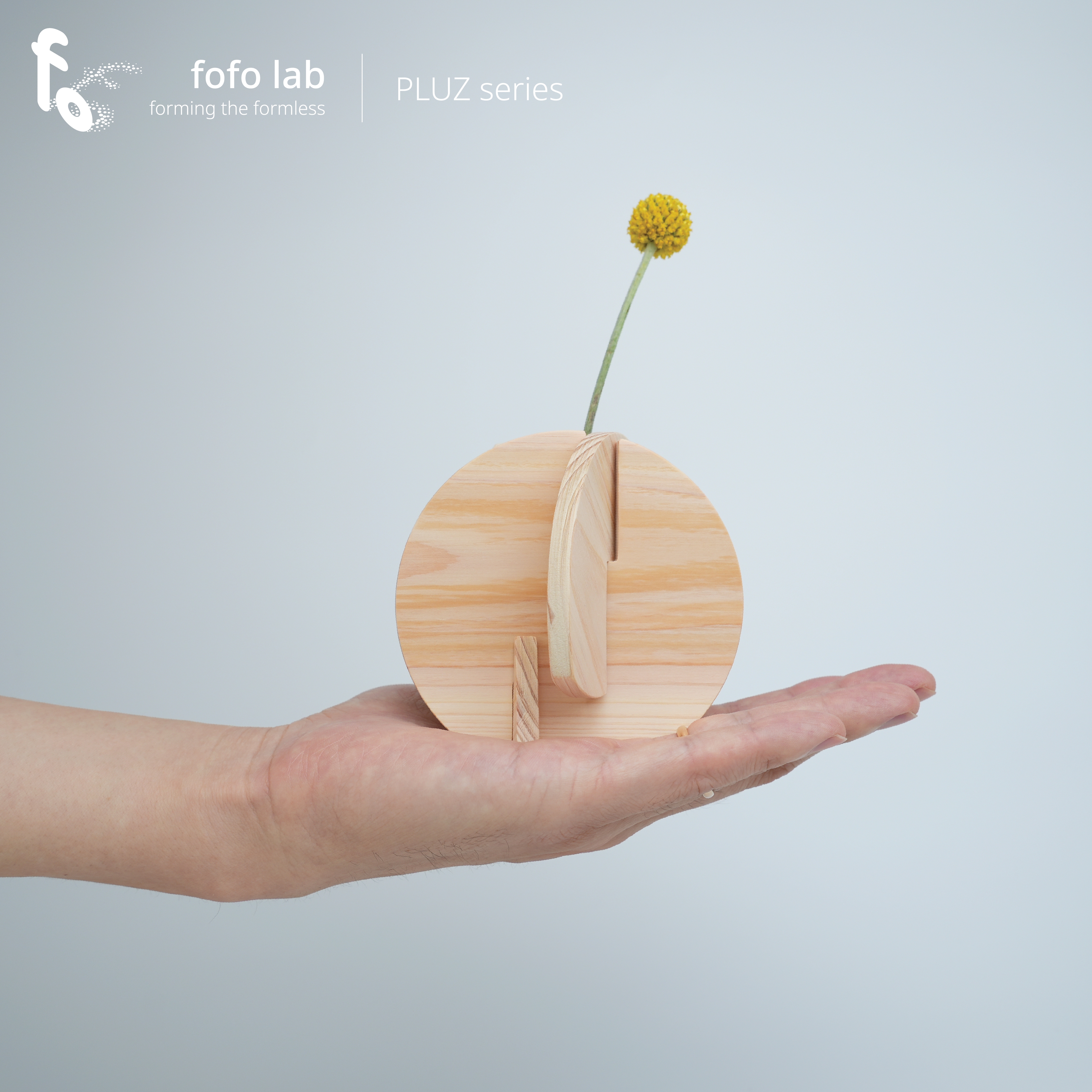 PLUZ｜木板の花器 × ミニボル